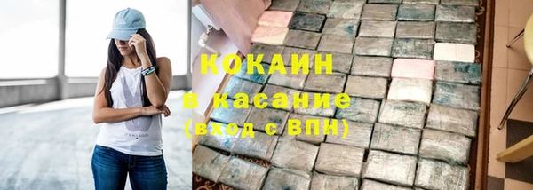 PSILOCYBIN Вяземский