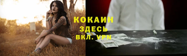 PSILOCYBIN Вяземский