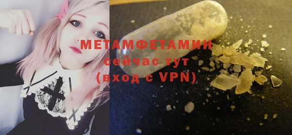 PSILOCYBIN Вяземский