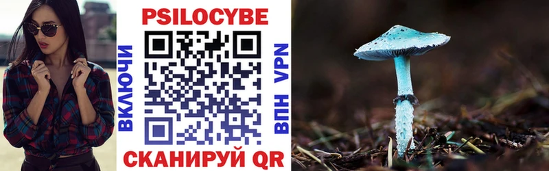 Купить где Нолинск Галлюциногенные грибы GOLDEN TEACHER