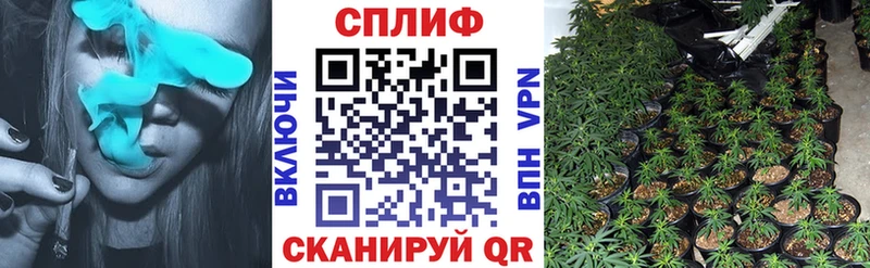 Купить  Нолинск  Бошки Шишки марихуана 